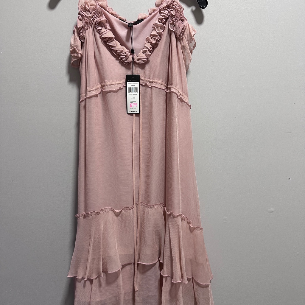 Cbg Maxazria Caden Dress Xxs Blush Pink Nwt Hmc